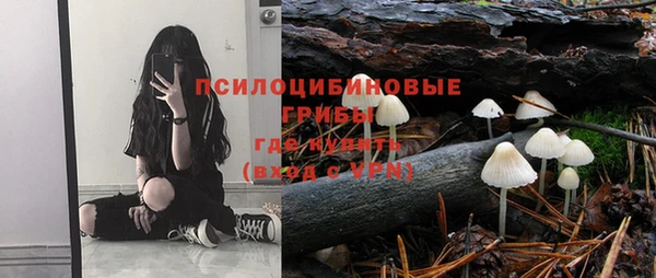 шишки Баксан