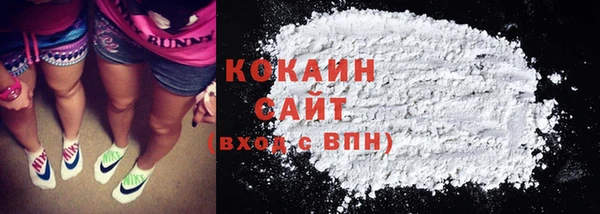 шишки Баксан