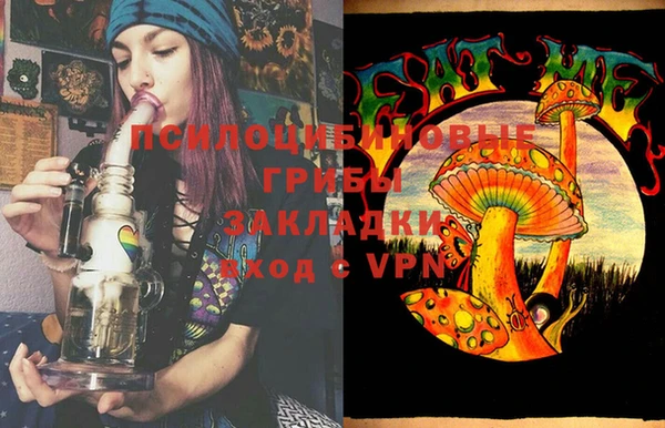 гашик Балабаново
