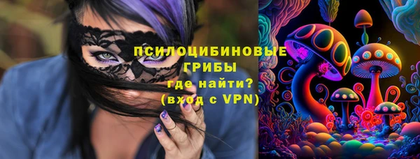 шишки Баксан