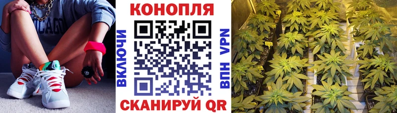 Каннабис Bruce Banner  это Telegram  Сысерть 